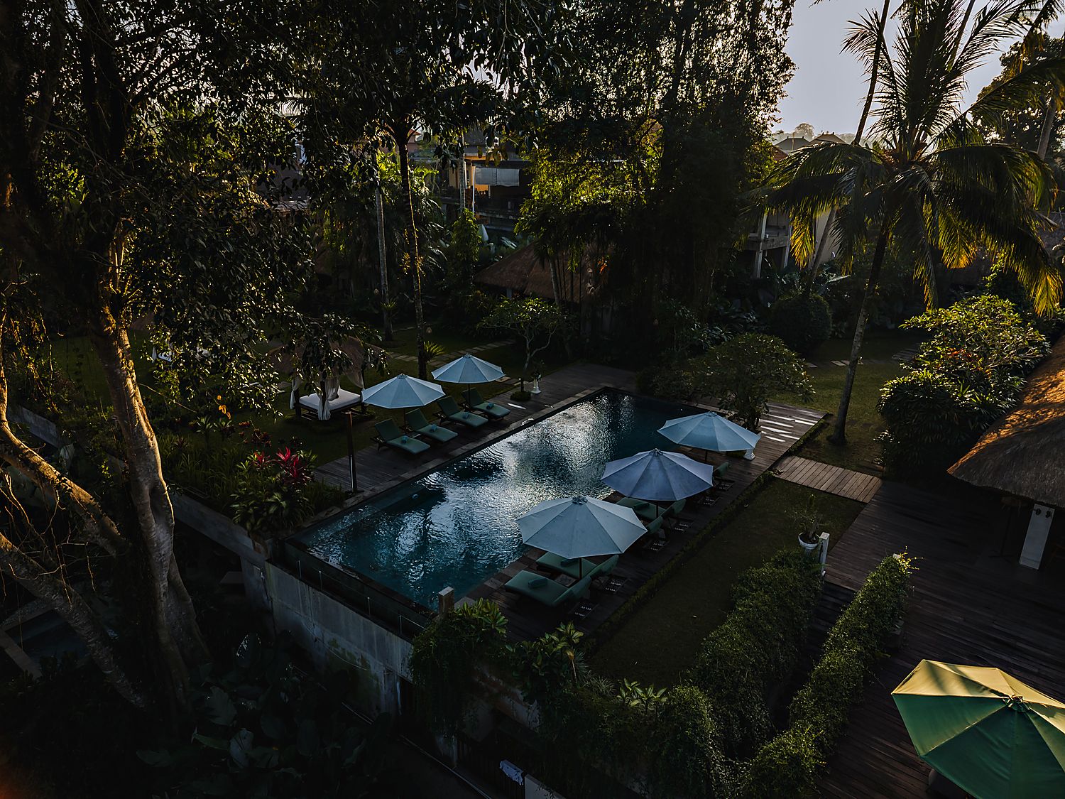 Garden Suite
