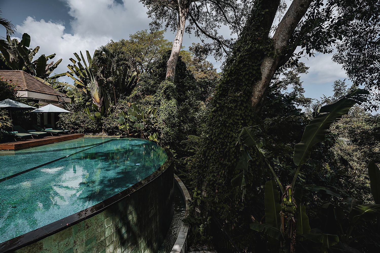 The infinity pool along the treeline