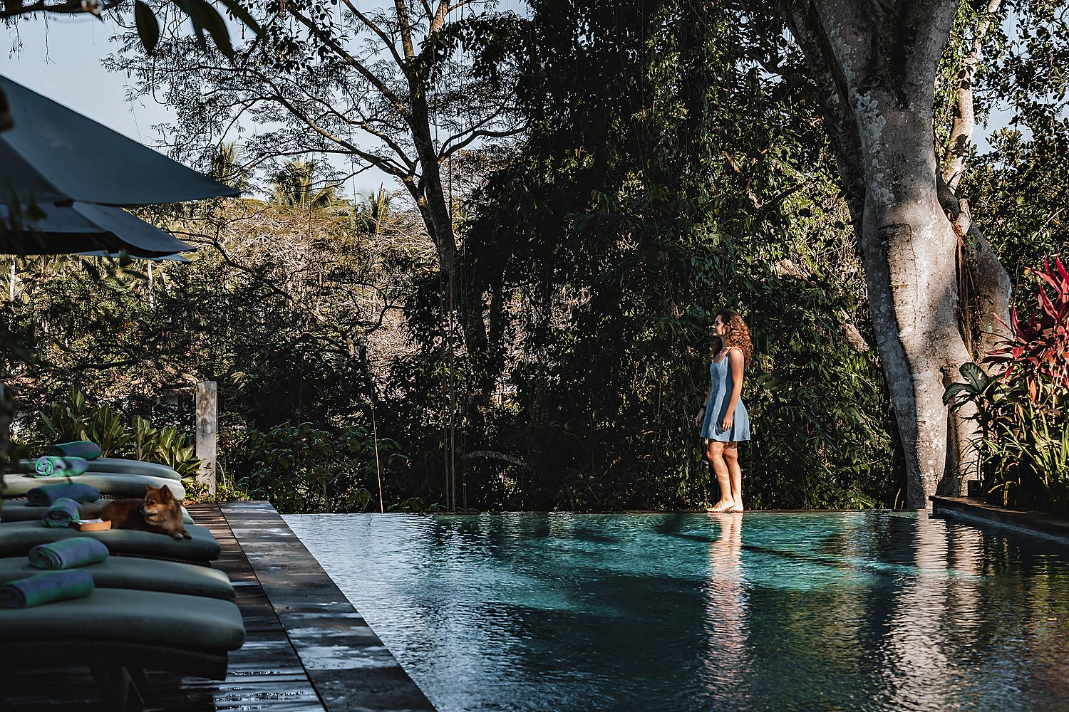Morning at the pool edge