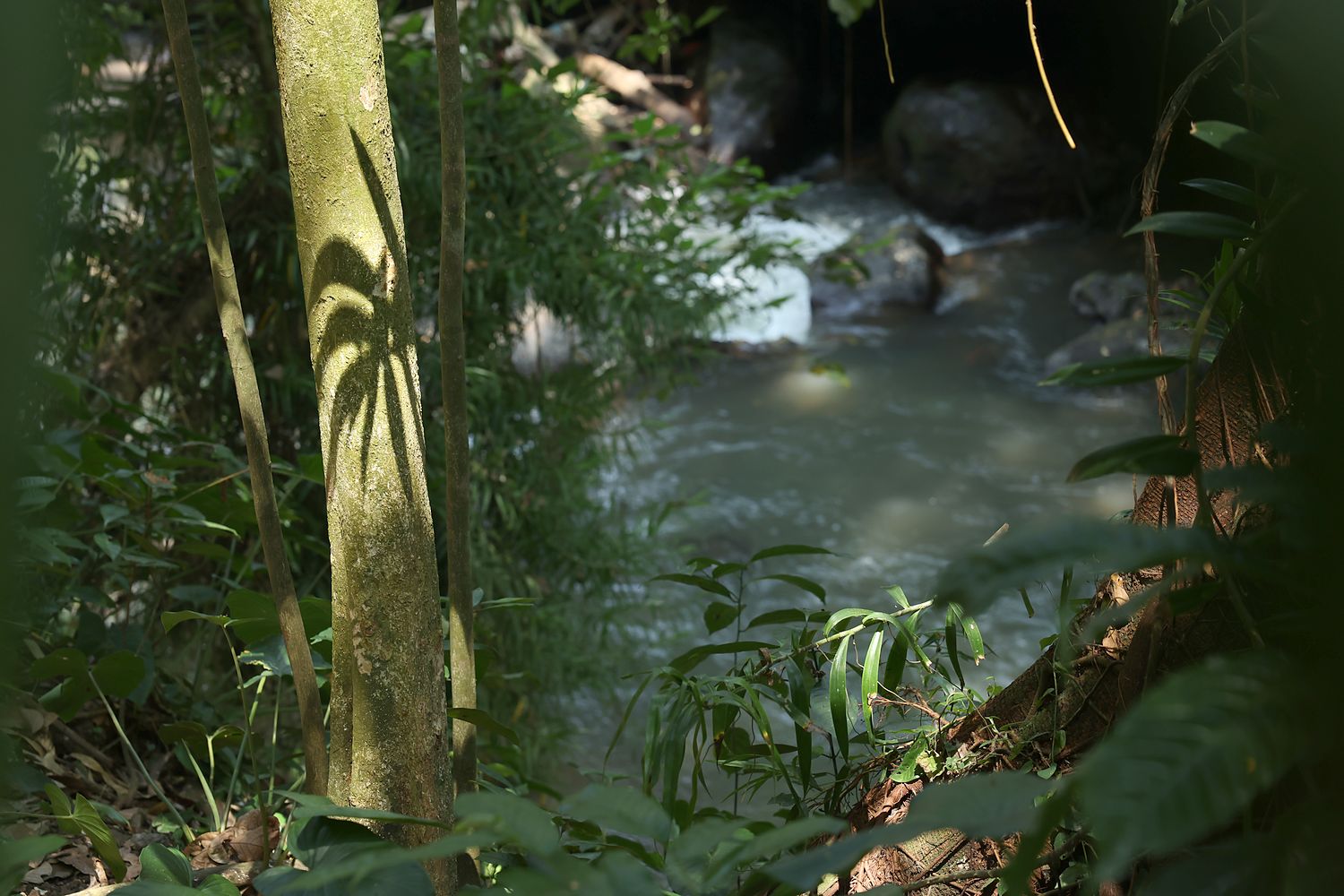 The Petanu at the bottom of the valley