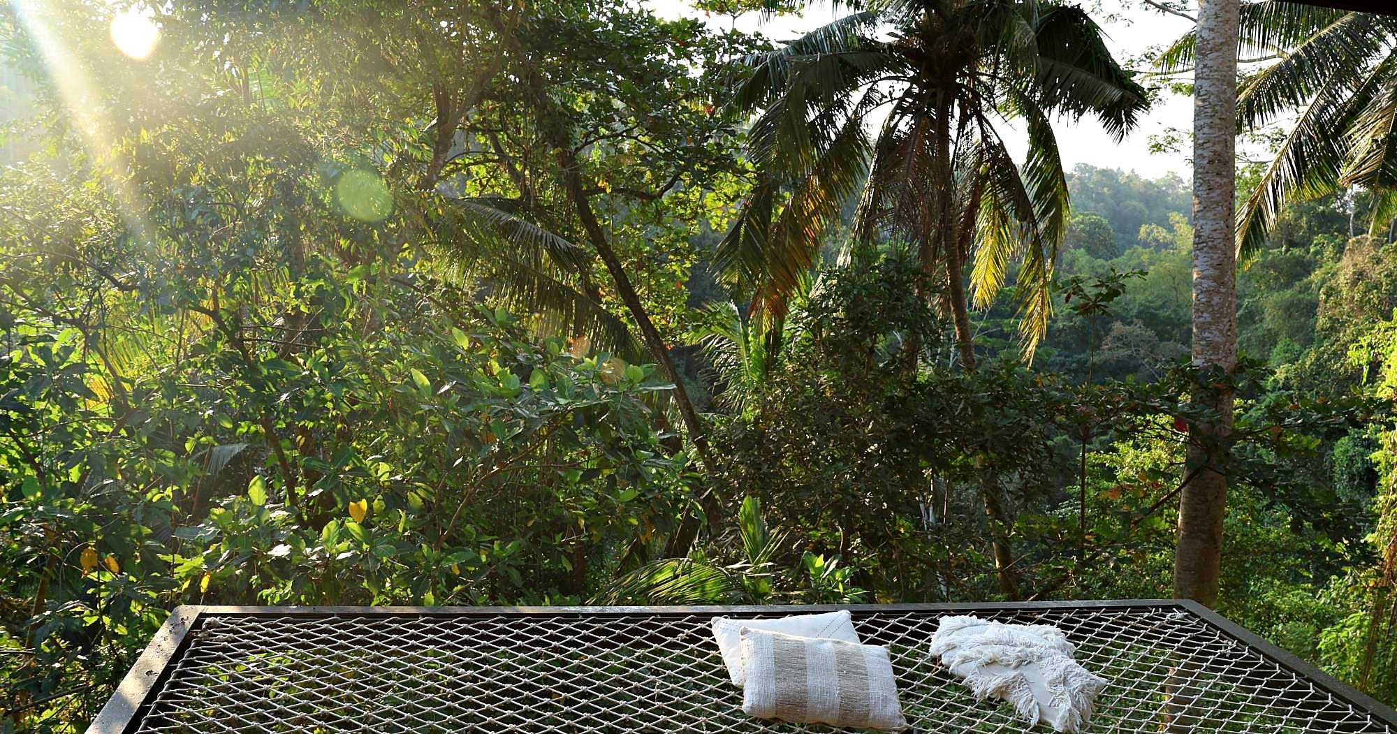 The net over the jungle at the yoga shala, in morning light