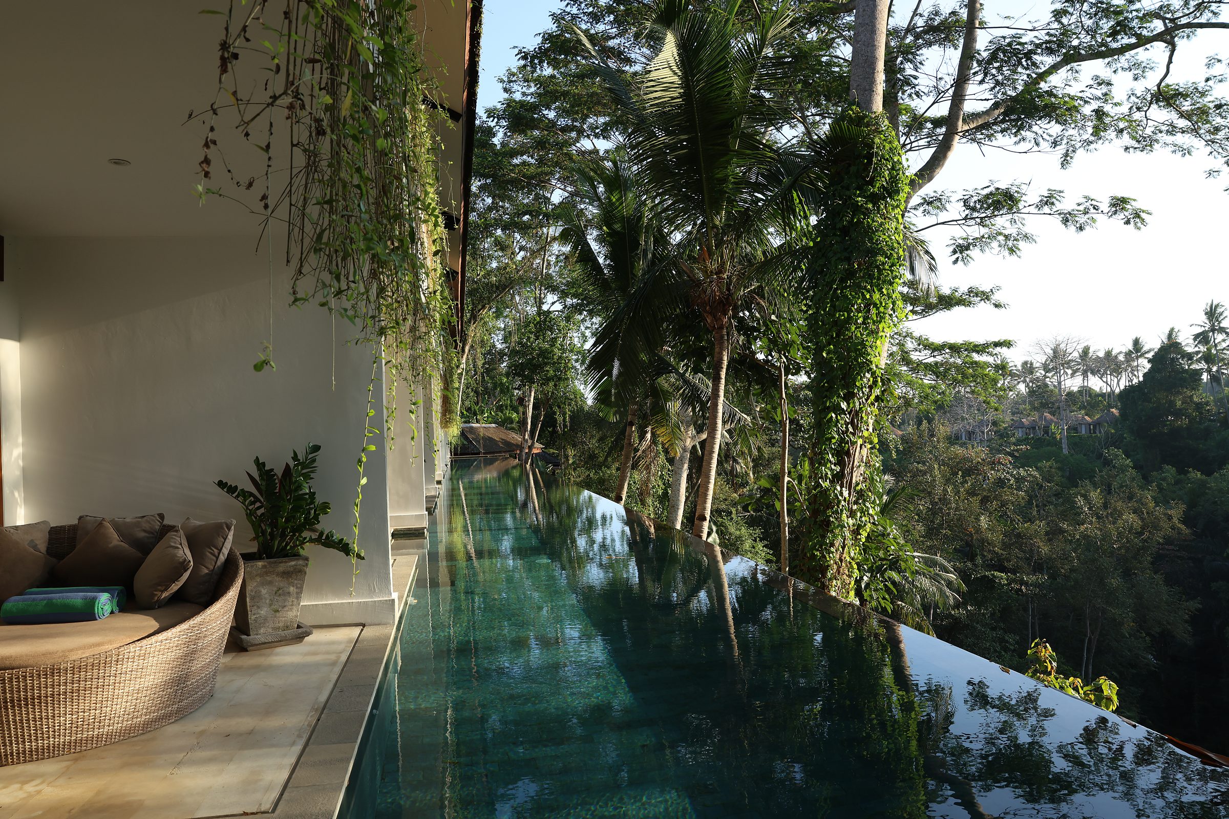 The Gem infinity pool along the suites, a daybed at its edge and the jungle beyond