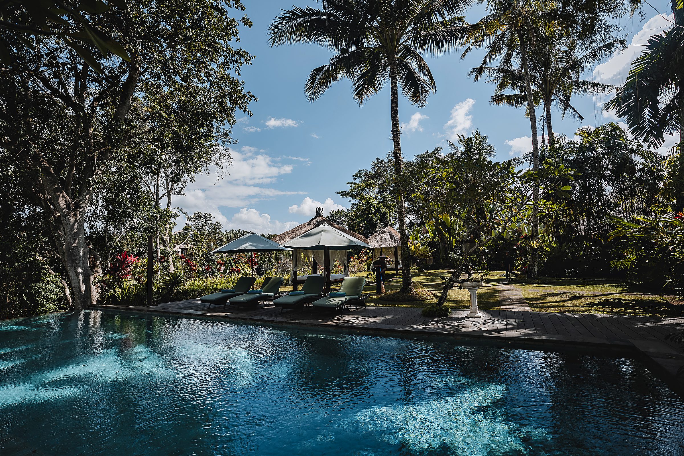 The main pool with its umbrellas and loungers under the palms