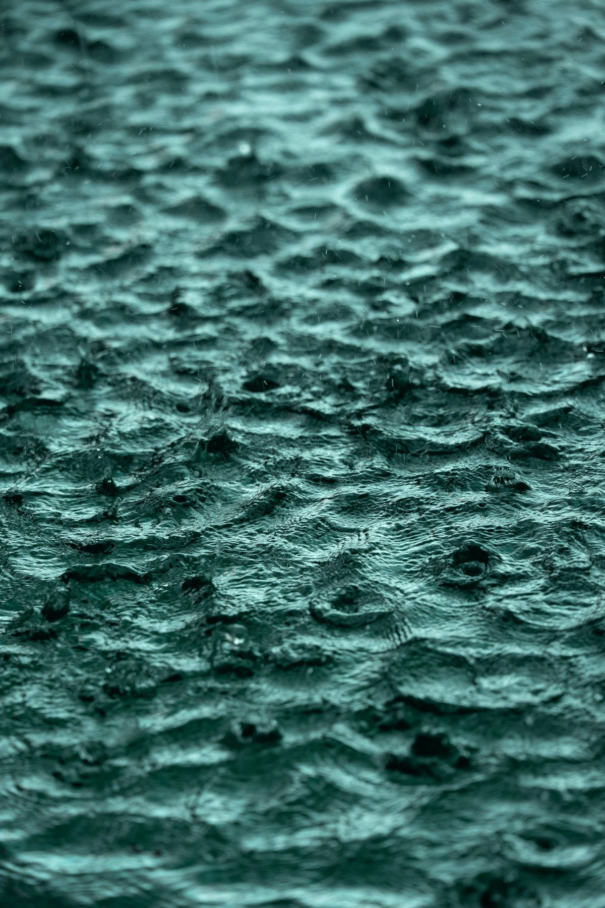 Raindrops breaking the surface of the pool