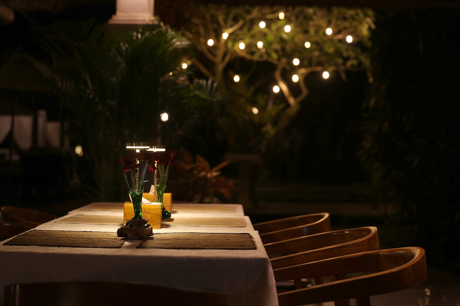A table by the garden at night, string lights in the tree behind
