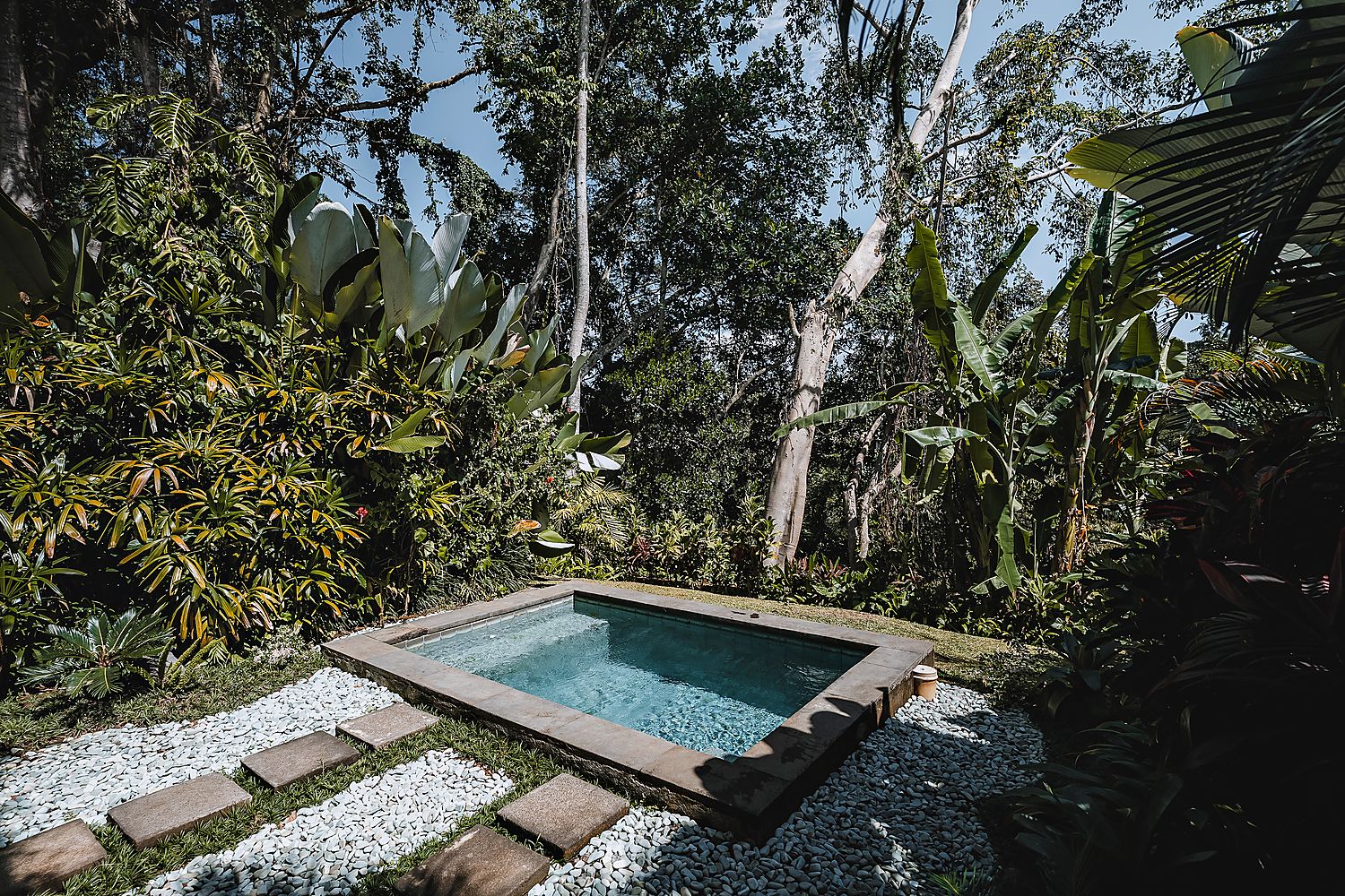 The plunge pool in the garden